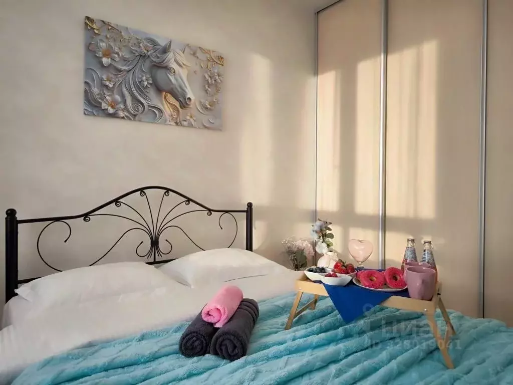 1-к кв. Московская область, Химки городской округ, д. Рузино, ... - Фото 2