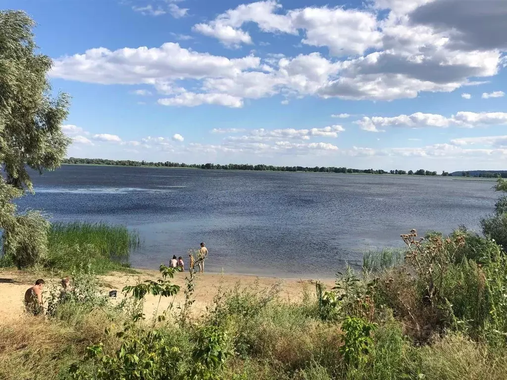 Участок в Саратовская область, Воскресенский район, Елшанское ... - Фото 1