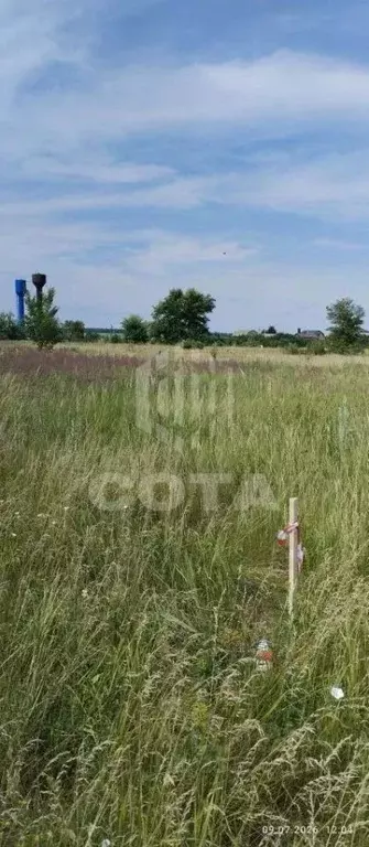 Участок в Воронежская область, Рамонский район, с. Горожанка  (18.0 ... - Фото 1