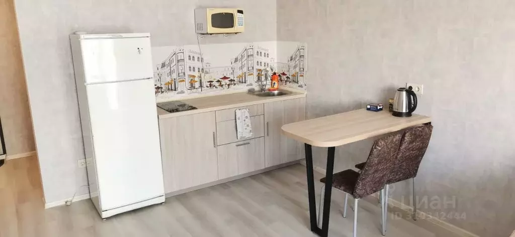 Студия Новосибирская область, Новосибирск ул. Татьяны Снежиной, 42 ... - Фото 0