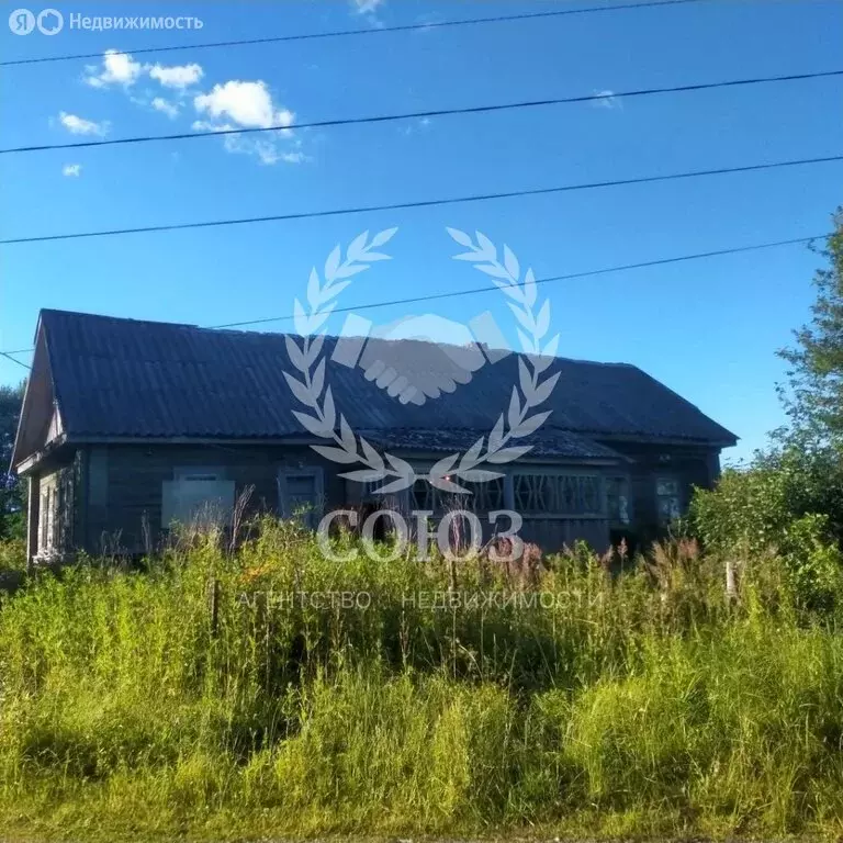 Дом в Новгородская область, Валдайский муниципальный район, Едровское ... - Фото 1
