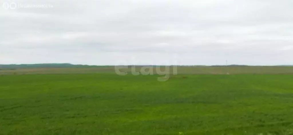 Участок в Заветное, Зелёная улица (6 м) - Фото 2