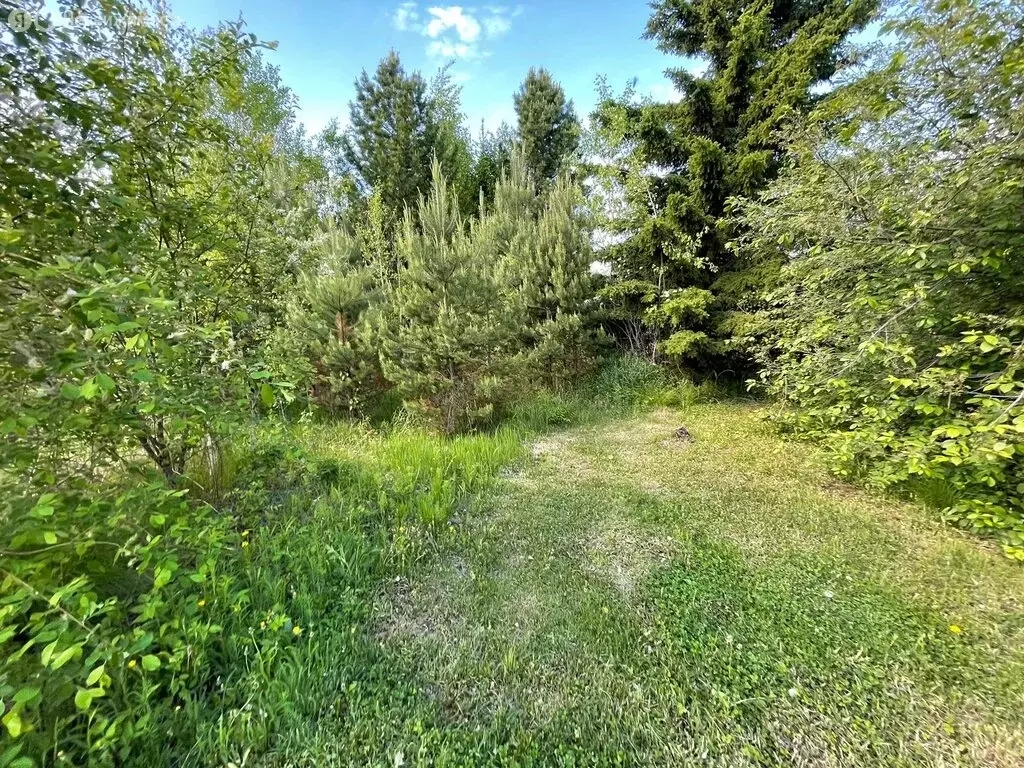 Участок в Иркутский муниципальный округ, СНТ Дражное (20 м) - Фото 0