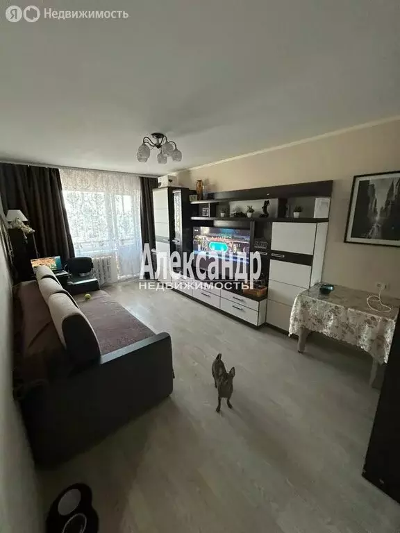 1-комнатная квартира: Ломоносов, Швейцарская улица, 8к2 (29.5 м) - Фото 2