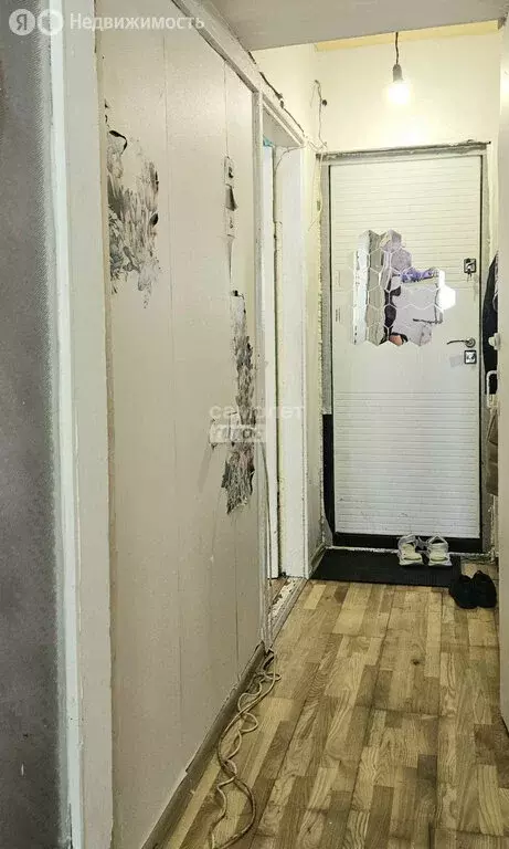 1-комнатная квартира: Екатеринбург, Онежская улица, 9 (30.2 м) - Фото 1