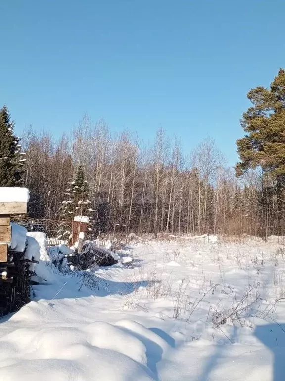 Участок в Томская область, Томский район, с. Корнилово Новая ул. (5.8 ... - Фото 1
