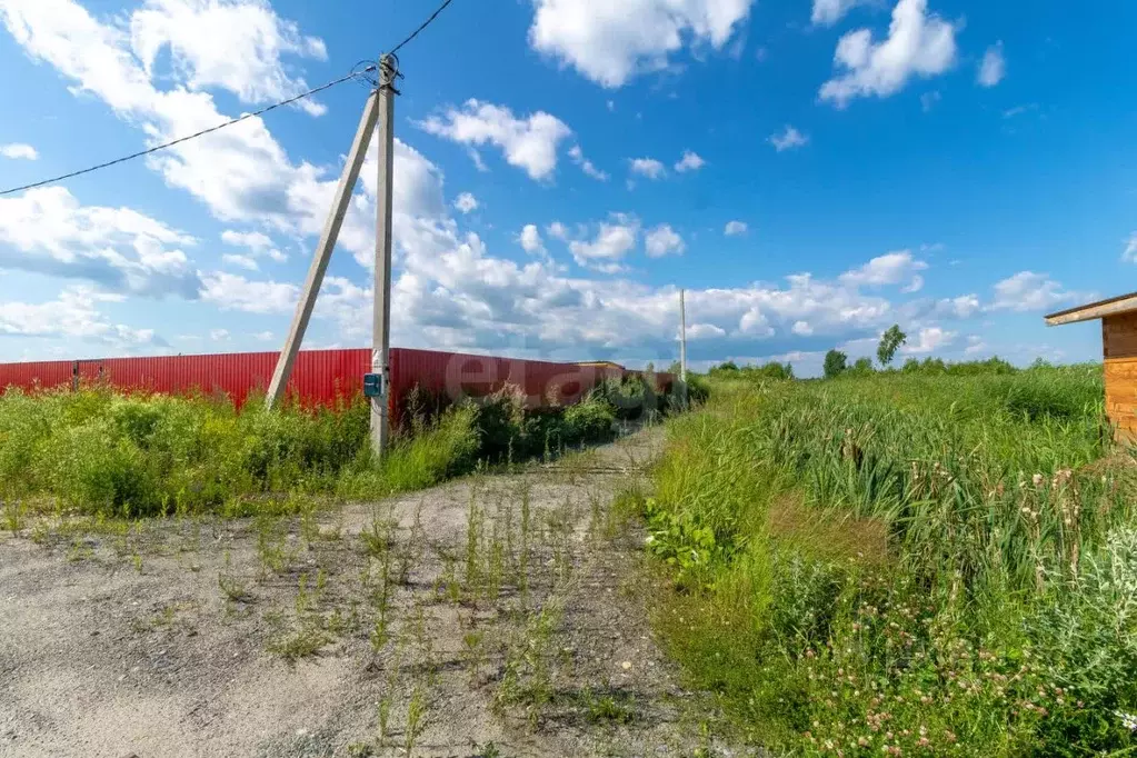 Участок в Тюменская область, Тюмень Садовое товарищество Липовый ... - Фото 1
