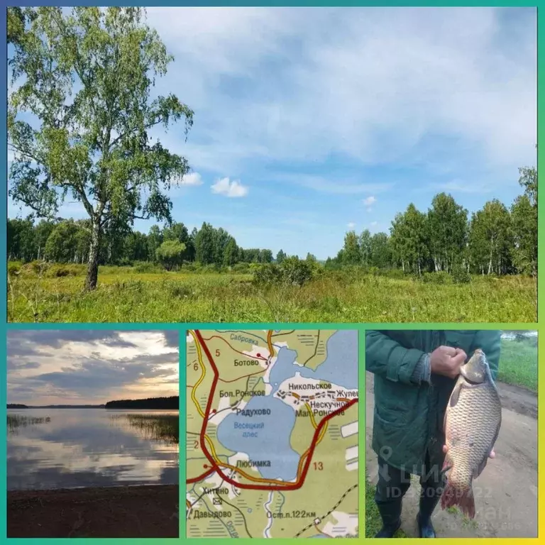 Участок в Тверская область, Осташковский муниципальный округ, д. ... - Фото 1