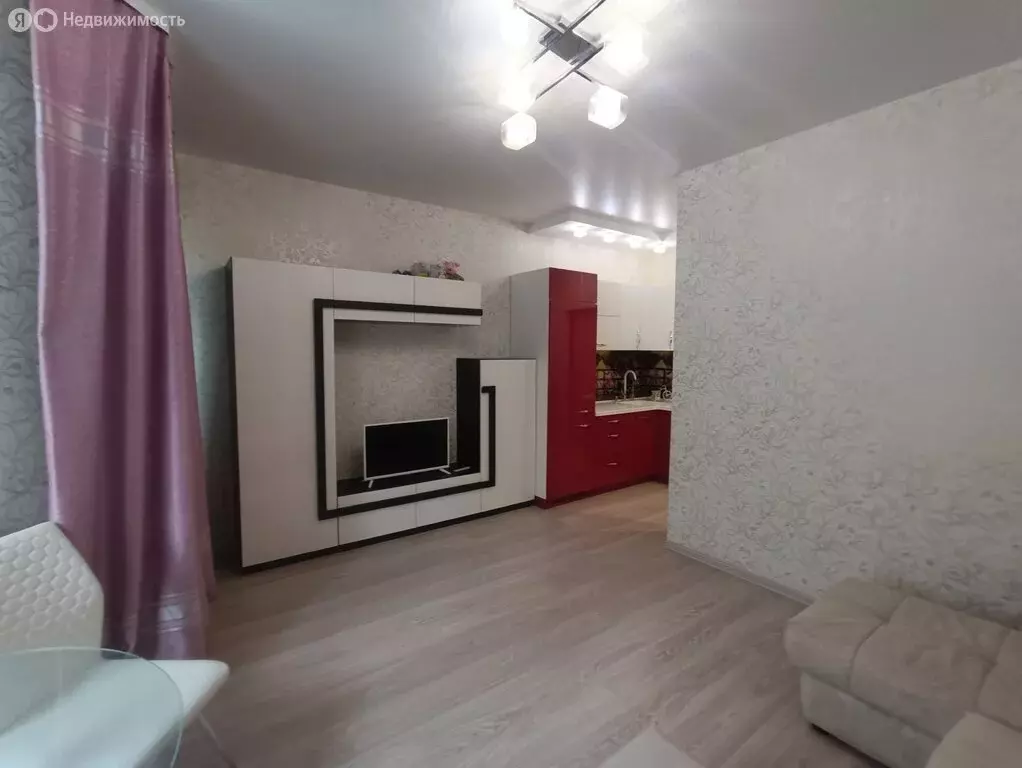 Квартира-студия: деревня Новая Купавна, 3 (25.1 м) - Фото 1