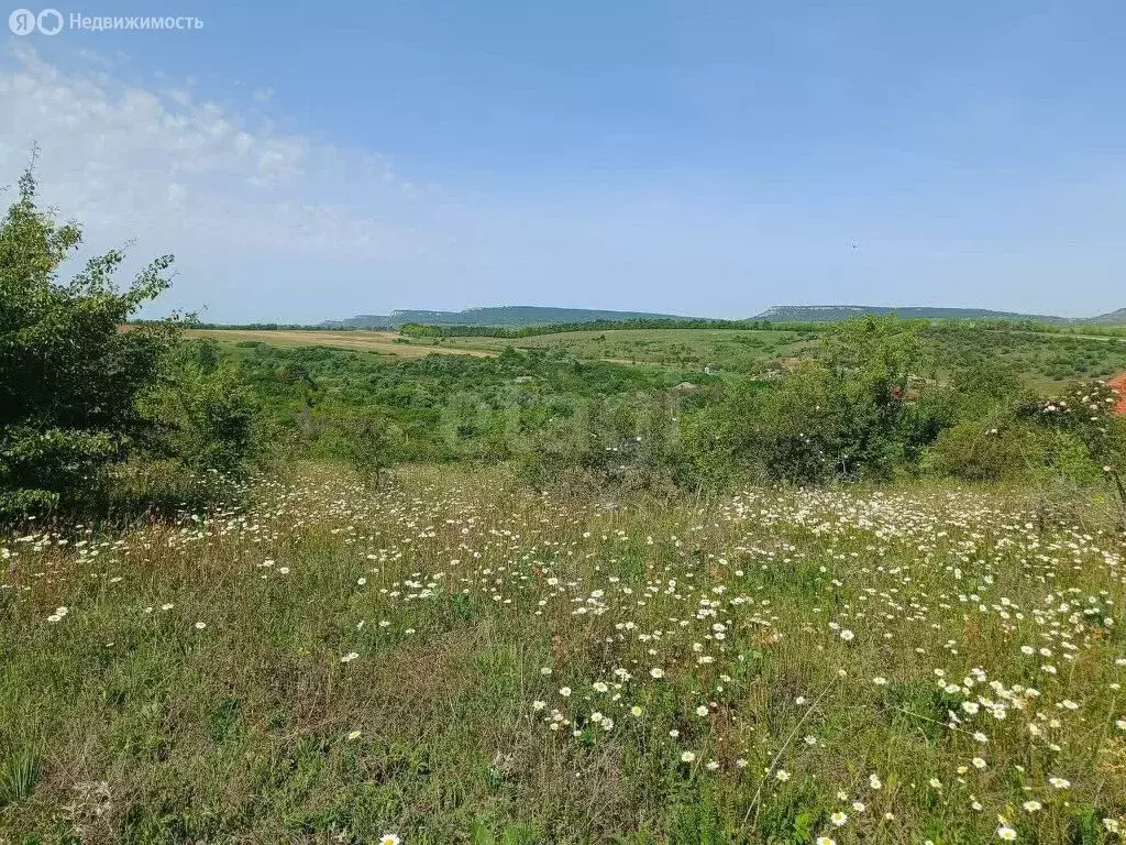 Участок в Перовское сельское поселение, село Клиновка, Лесная улица ... - Фото 1