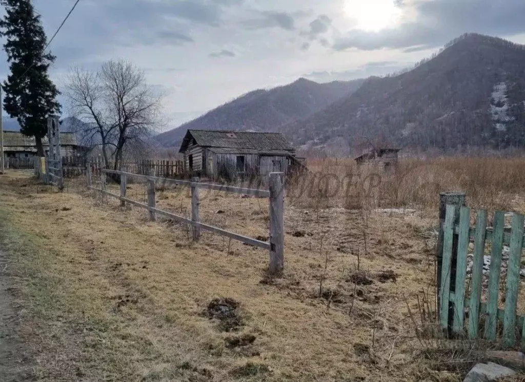 Участок в Алтай, Шебалинский район, с. Мыюта Российская ул. (21.0 ... - Фото 1