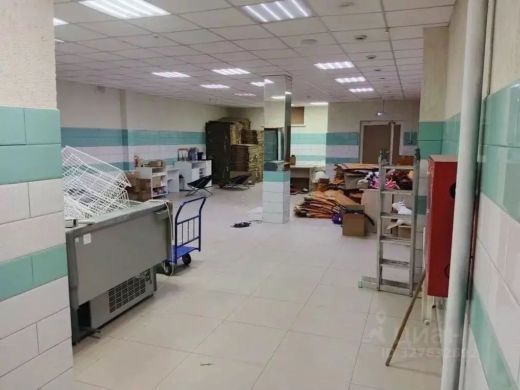 Помещение свободного назначения в Новосибирская область, Новосибирский ... - Фото 2