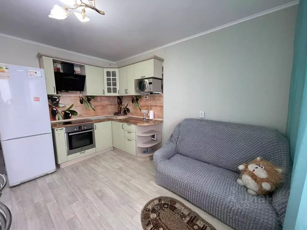 1-к кв. Краснодарский край, Анапа ул. Ленина, 237 (31.0 м) - Фото 2