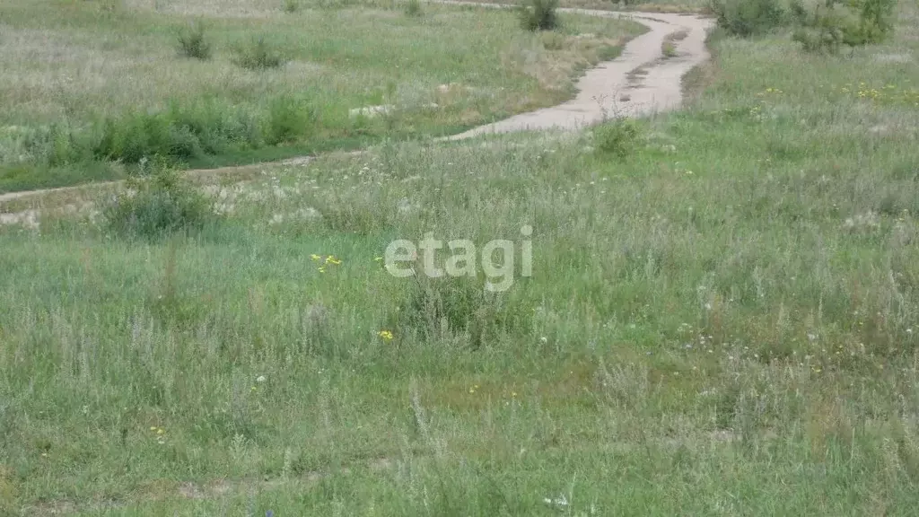 Участок в Забайкальский край, Чита Дачное некоммерческое товарищество ... - Фото 0