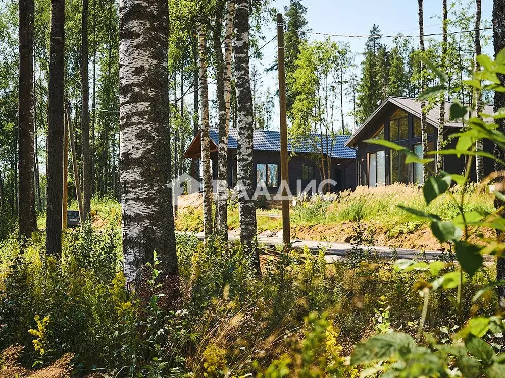 Участок в Ленинградская область, Всеволожский район, Куйвозовское ... - Фото 1