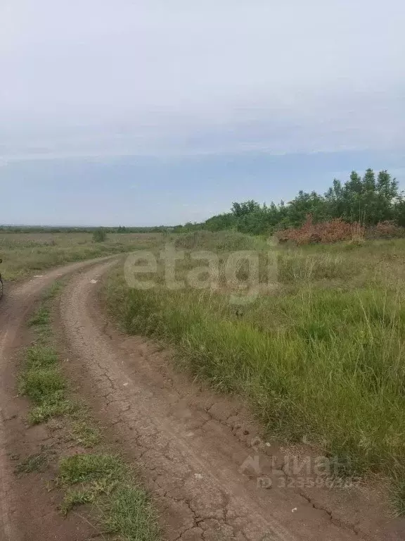 Участок в Ростовская область, Азов Азовский район, Х-Виллаж кп, ул. ... - Фото 2