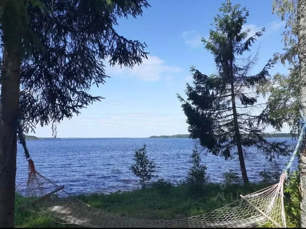 Участок в Вологодская область, Вытегорский муниципальный округ, пос. ... - Фото 2