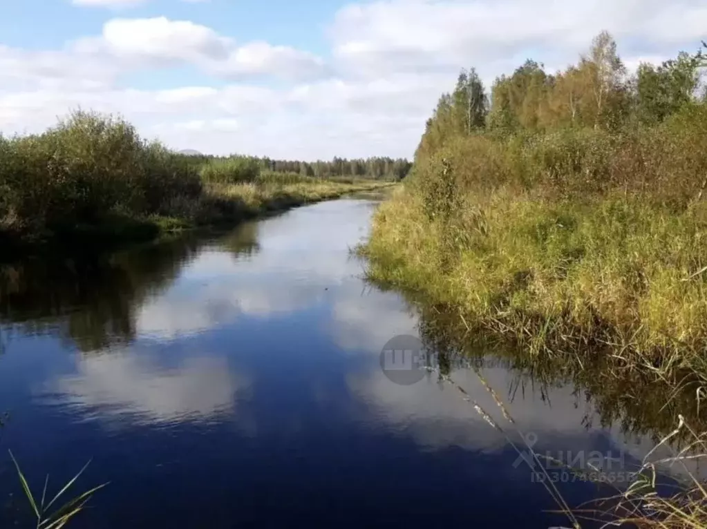 Участок в Ленинградская область, Всеволожский район, Рахьинское ... - Фото 0