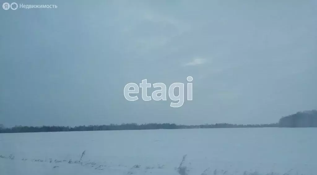 Участок в Курганская область, Шадринский муниципальный округ, село ... - Фото 0