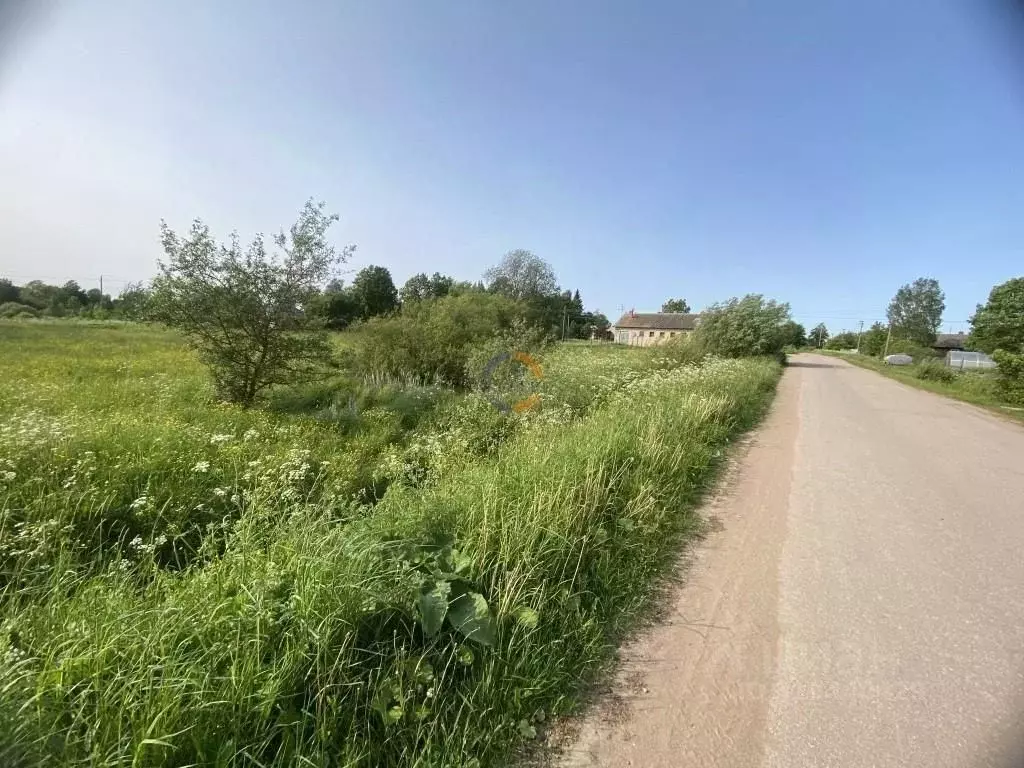 Участок в Новгородская область, Шимский район, Подгощское с/пос, д. ... - Фото 1