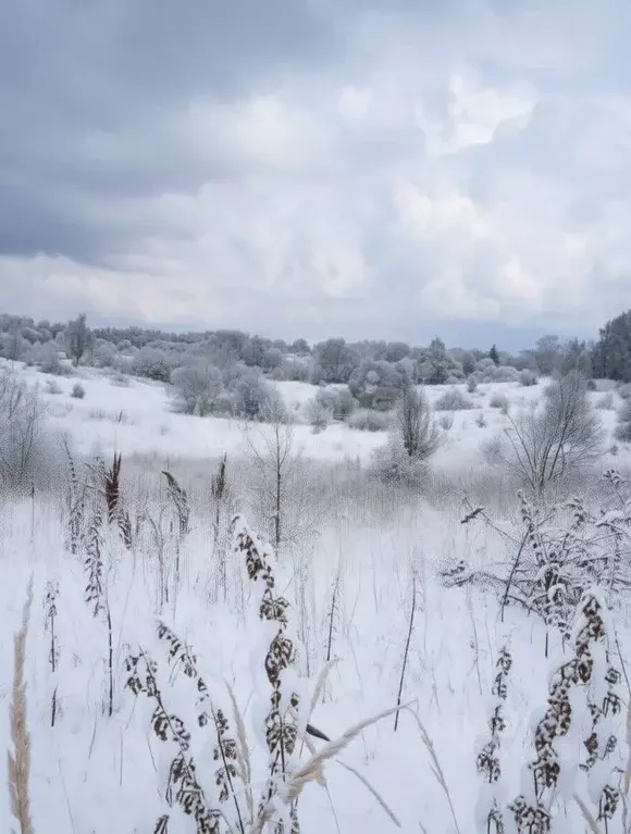 Участок в Тульская область, Щекинский район, Огаревское с/пос, д. ... - Фото 1