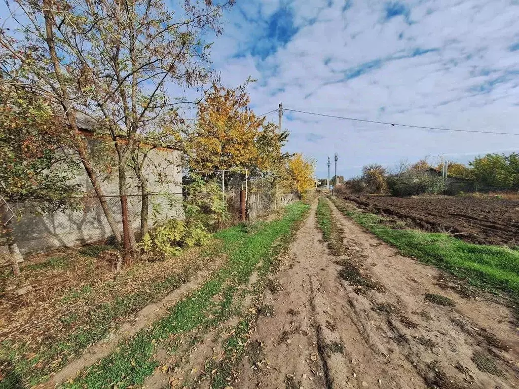 Участок в Ростовская область, Багаевский район, Манычская ст-ца ул. ... - Фото 1