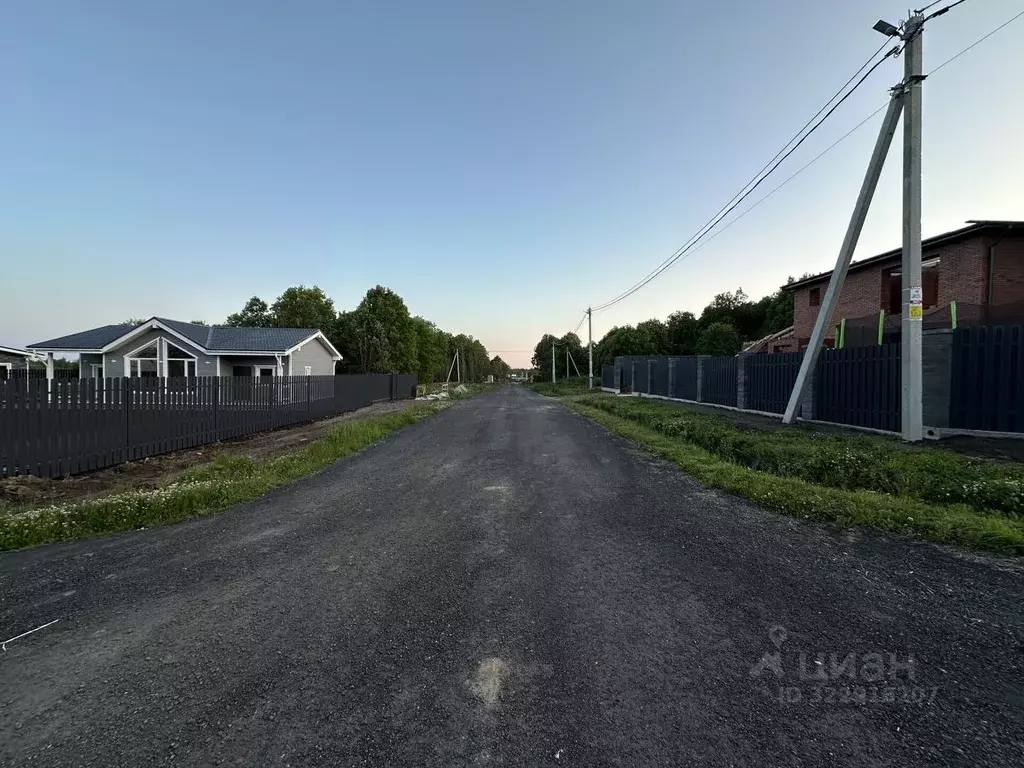 Участок в Ленинградская область, Всеволожский район, Романовское ... - Фото 2