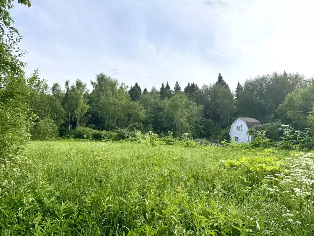 Участок в Московская область, Солнечногорск городской округ, д. ... - Фото 1