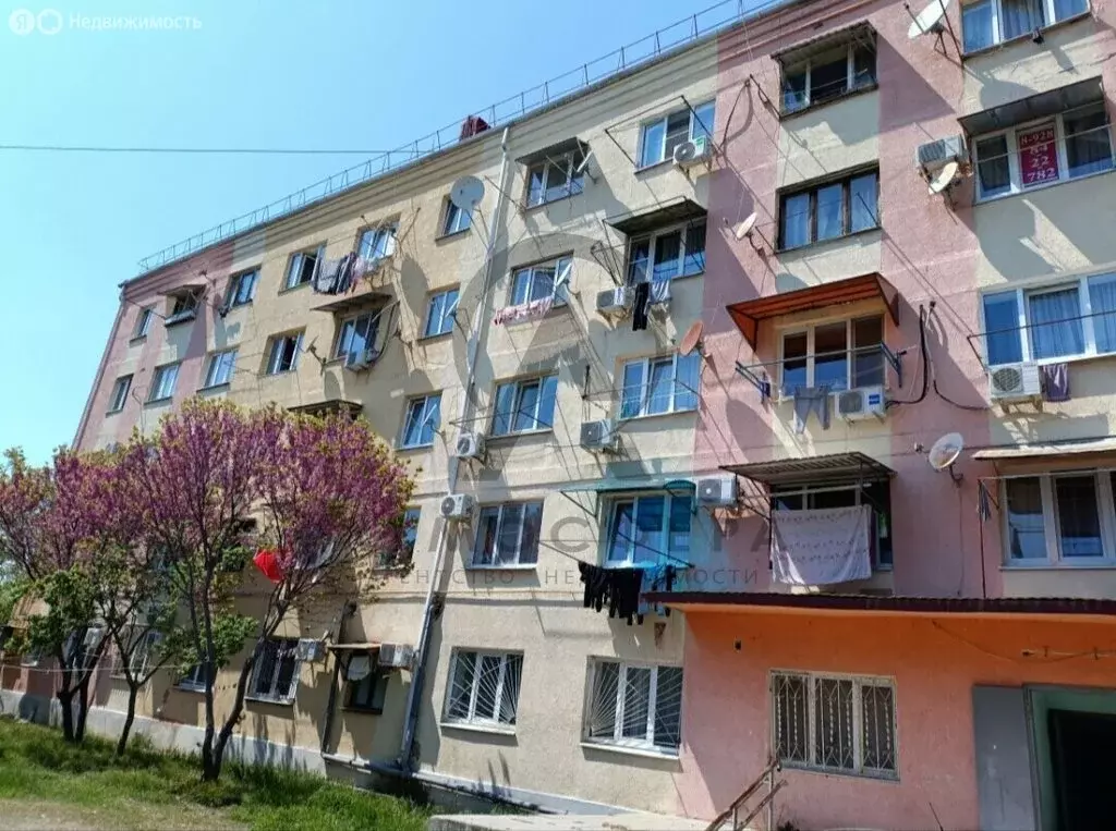 Квартира-студия: посёлок городского типа Новомихайловский, улица ... - Фото 1