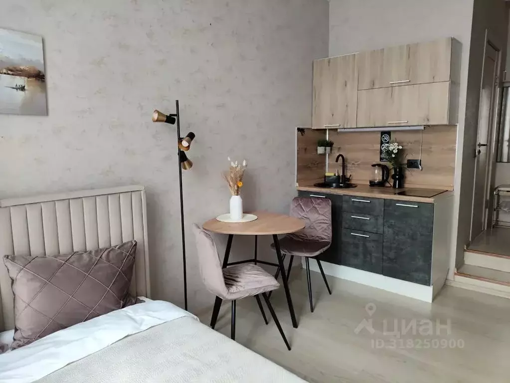 Студия Москва ул. Шкулева, 13/25С3 (18.0 м) - Фото 1