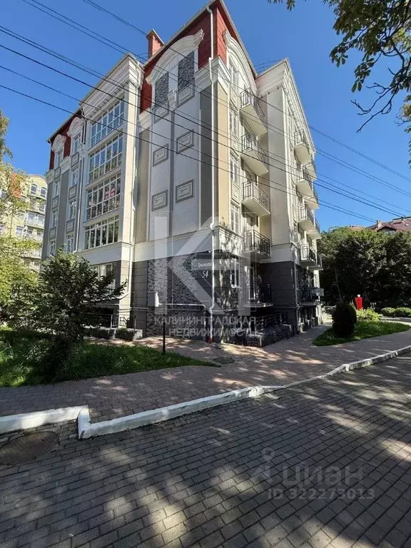 Помещение свободного назначения в Калининградская область, Пионерский ... - Фото 1