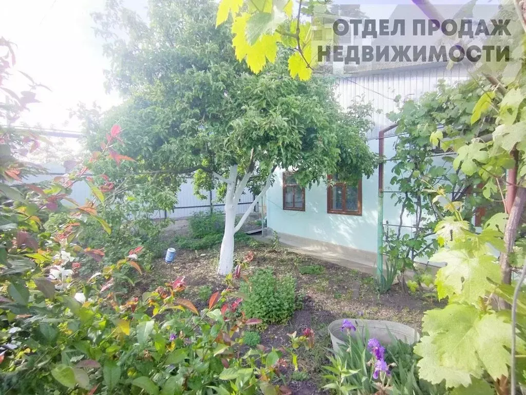 Дом в село Экономическое, Шоссейная улица (45 м) - Фото 1
