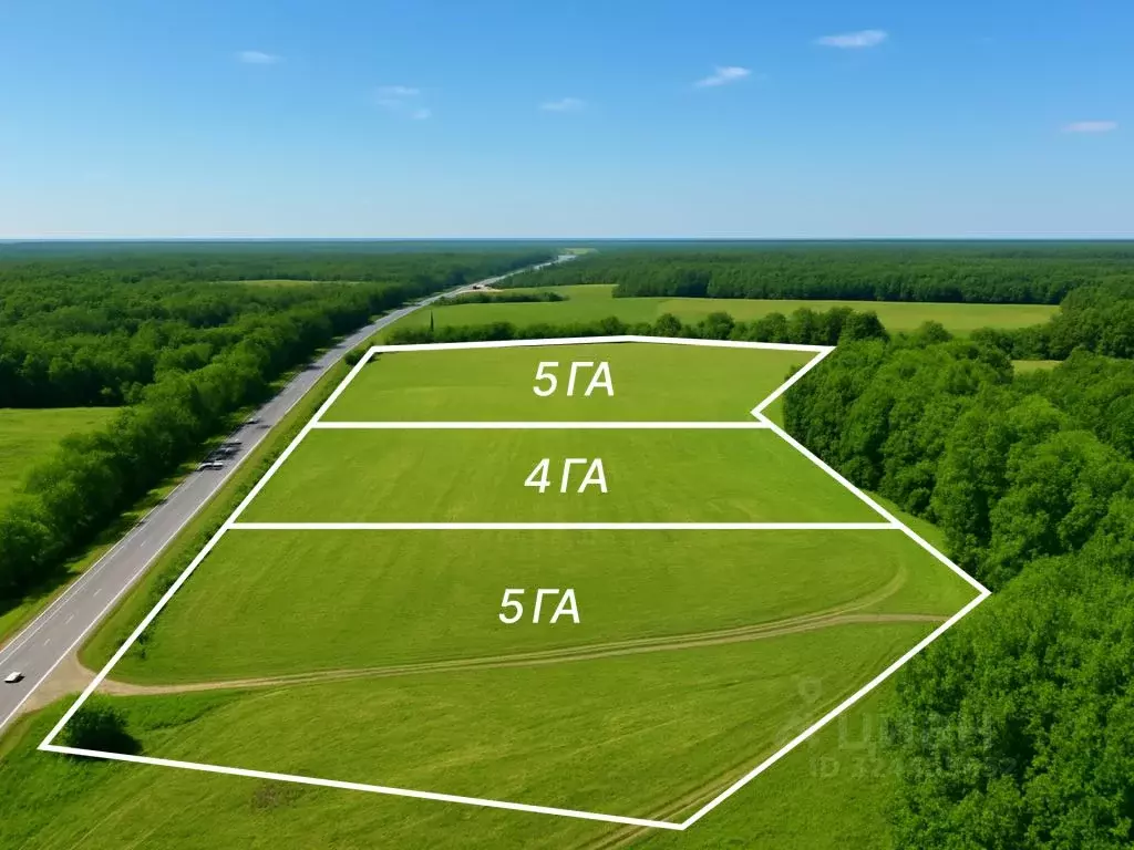 Участок в Калужская область, Бабынинский муниципальный округ, ... - Фото 2