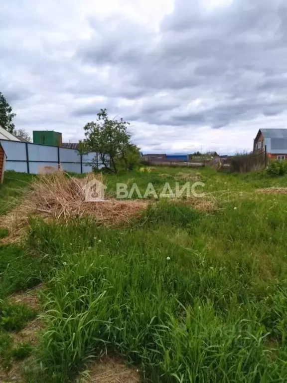 Участок в Новосибирская область, Новосибирский район, с. Кубовая ... - Фото 0