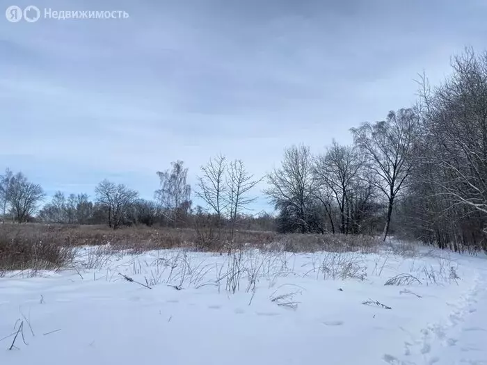 Участок в Калининградская область, Гурьевский муниципальный округ, ... - Фото 1