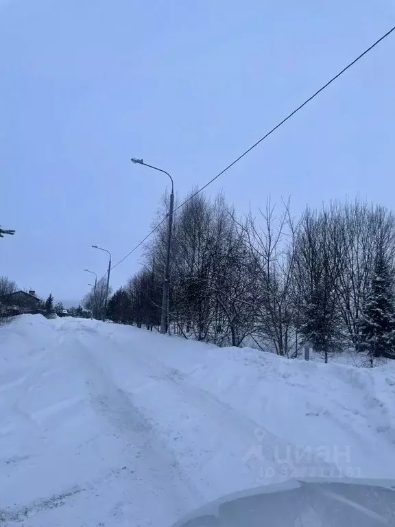 Участок в Московская область, Клин городской округ, Селинские Дачи ДНП ... - Фото 2