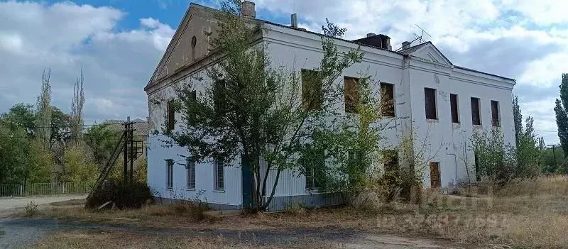 Помещение свободного назначения в Волгоградская область, Дубовский ... - Фото 1