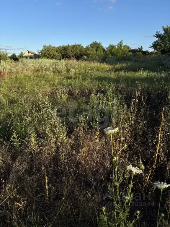 Участок в Белгородская область, Строитель Яковлевский городской округ, ... - Фото 1