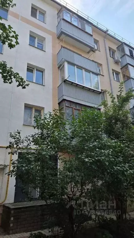 1-к кв. Белгородская область, Белгород просп. Славы (31.7 м) - Фото 2
