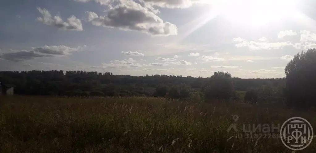 Участок в Новгородская область, Батецкий муниципальный округ, д. ... - Фото 1