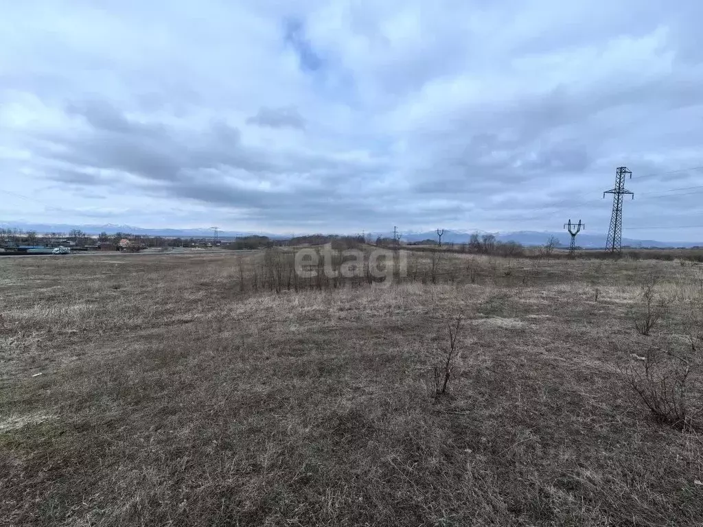 Участок в Камчатский край, Елизовский муниципальный округ, пос. ... - Фото 1