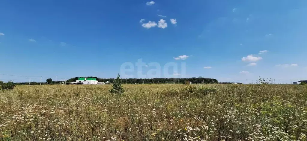 Участок в Белгородская область, Белгород Восточный мкр, ул. Филиппа ... - Фото 1