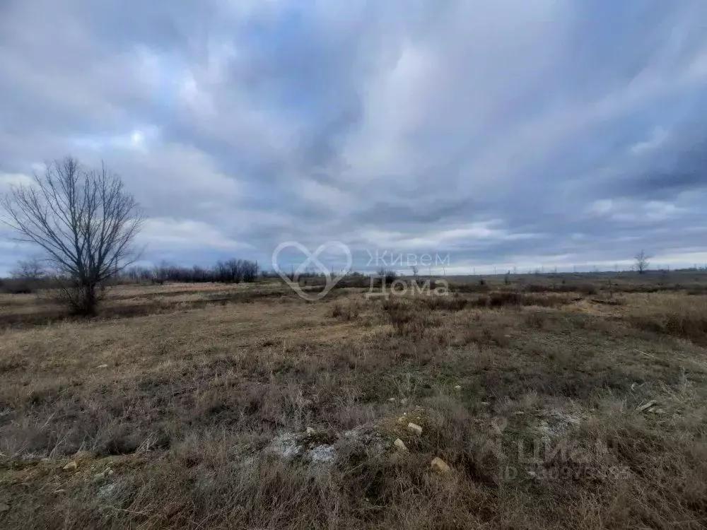 Участок в Волгоградская область, Городищенский район, Россошенское ... - Фото 2