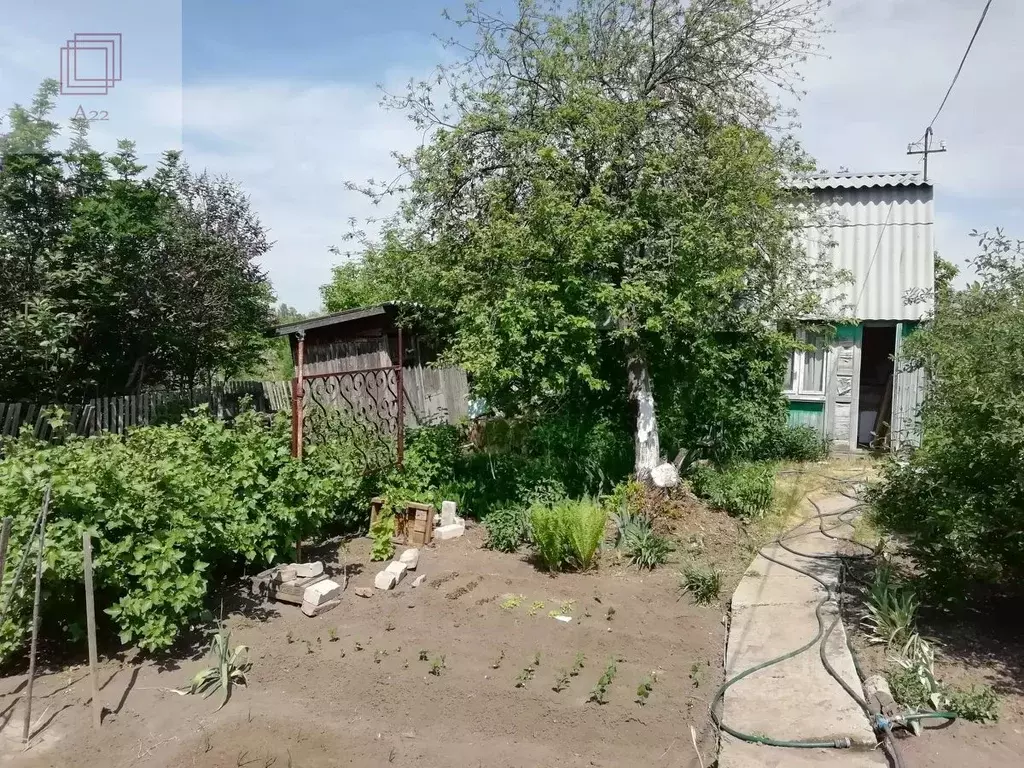 Дом в Алтайский край, Павловский район, Луговое СНТ ул. 5-я, 77А (57 ... - Фото 2