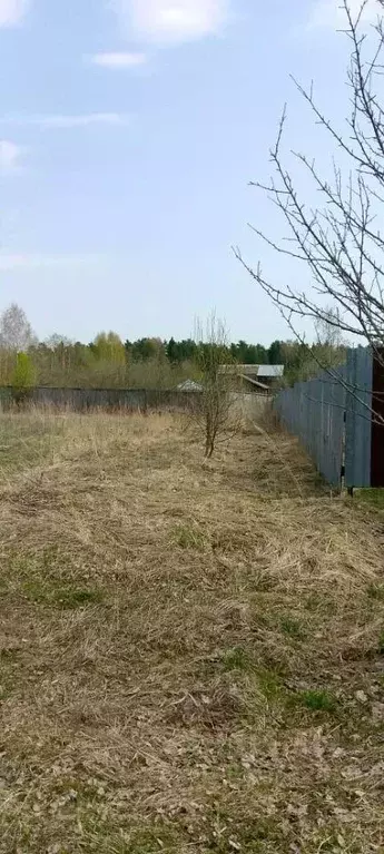 Участок в Владимирская область, Александровский район, Андреевское ... - Фото 0