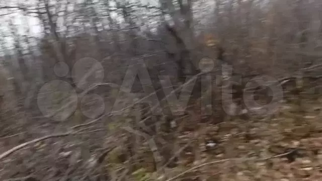 Участок 9 сот. (ИЖС) - Фото 1