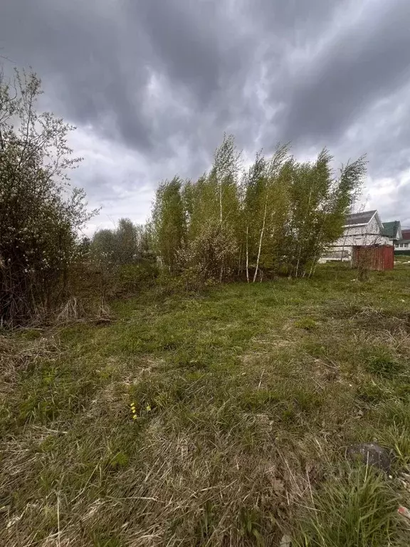 Участок в Нижегородская область, Бор городской округ, д. Селищи  (21.0 ... - Фото 1