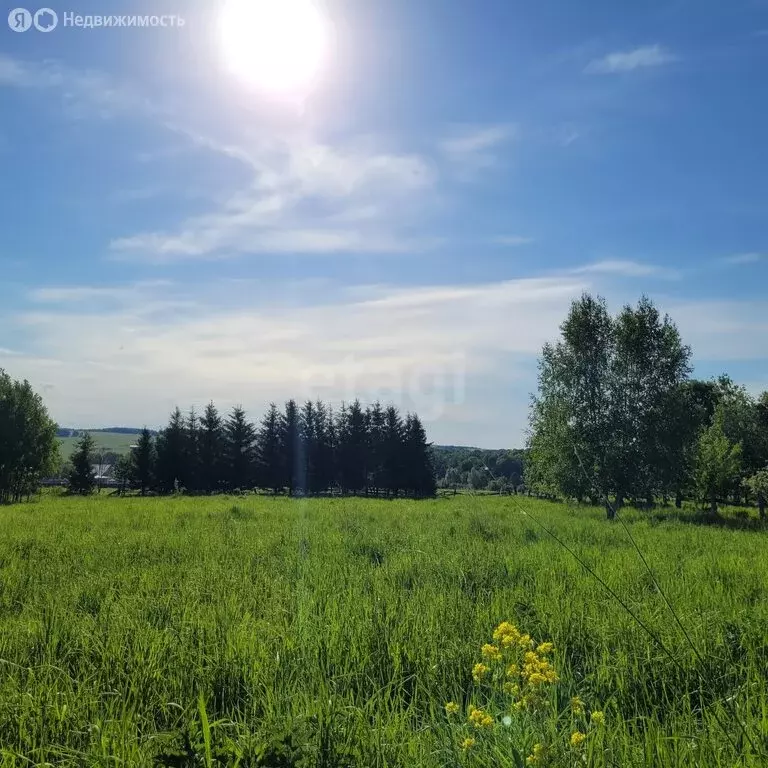 Участок в деревня Новые Сарты, Луговая улица (40 м) - Фото 2