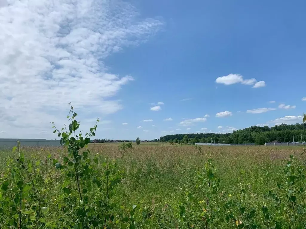 Участок в Московская область, Серпухов городской округ, д. Клейменово  ... - Фото 2