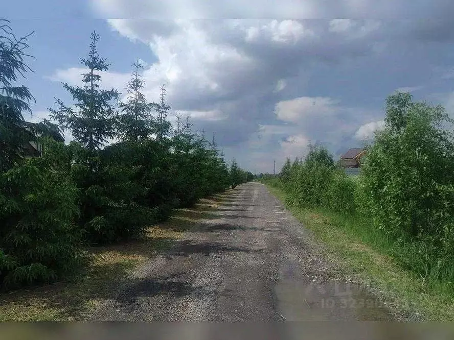 Участок в Московская область, Истра муниципальный округ, д. Шишаиха ... - Фото 1